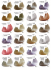 RIGHT COLOR 1SG