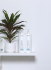 Subrina Professional Pure Shampoo 1000ml