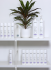 Subrina Professional Colour Shampoo 1000ml